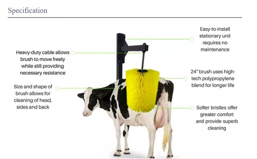 Related Product Image